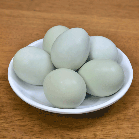 Grünleger Eier 